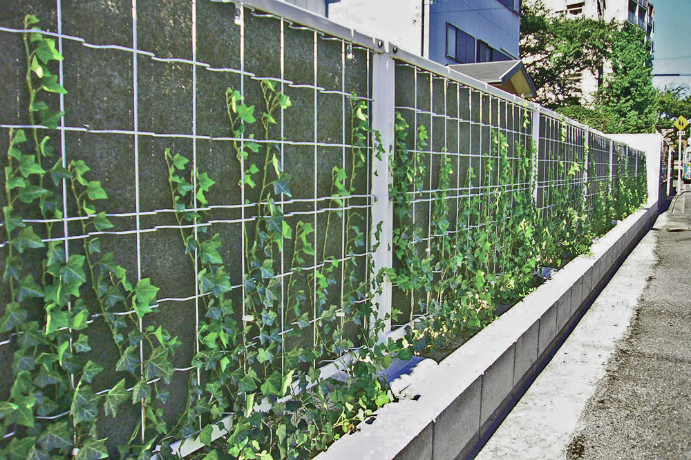 “つる植物を用いた緑化型目かくしフェンスヘデラ登ハンシステム「ツルパワーフェンス」