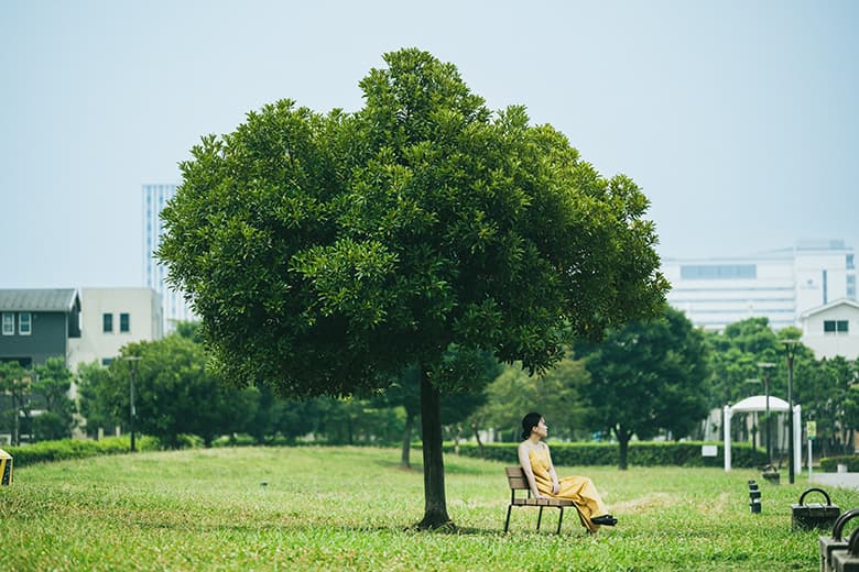 メランダベンチ(MERANDA BENCH)