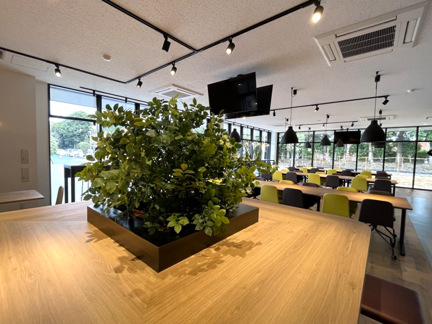 パーティショングリーン生け込み 観葉植物