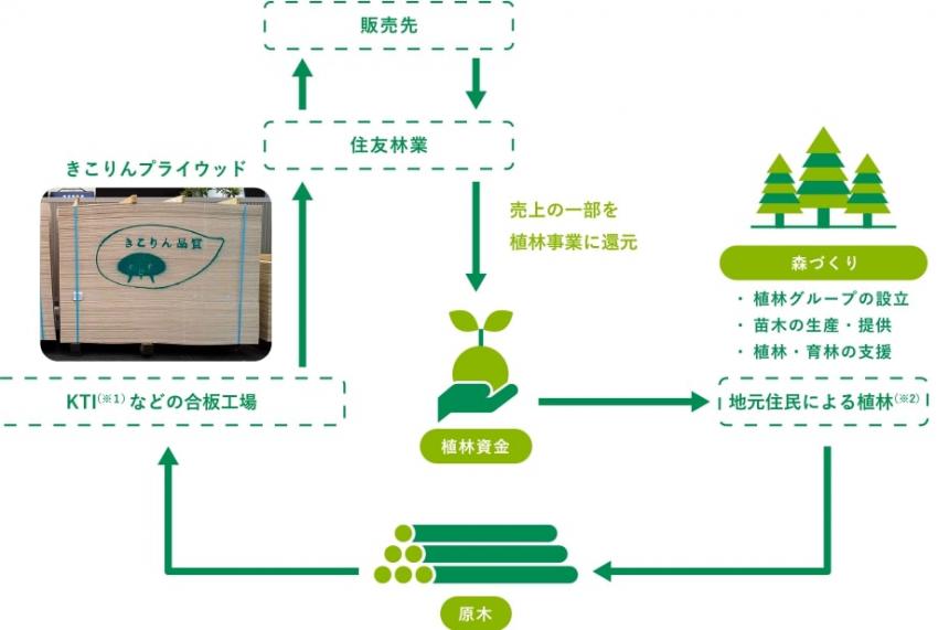 きこりんプライウッド